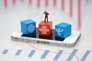 上海市民可到三家營業(yè)廳辦理攜號轉(zhuǎn)網(wǎng)，附轉(zhuǎn)網(wǎng)最詳攻略及基礎電信業(yè)務解析