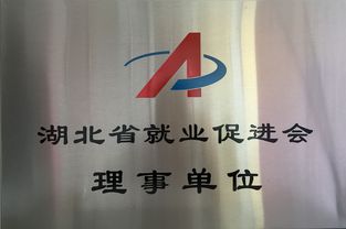互聯網時代，湖北就業市場正經歷深刻重構——省就業促進會第三屆會員大會在武漢召開